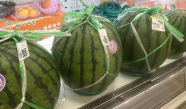 吃瓜群众免费吃瓜香港,香港美食之旅